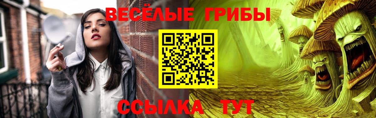 Псилоцибиновые грибы GOLDEN TEACHER Среднеуральск