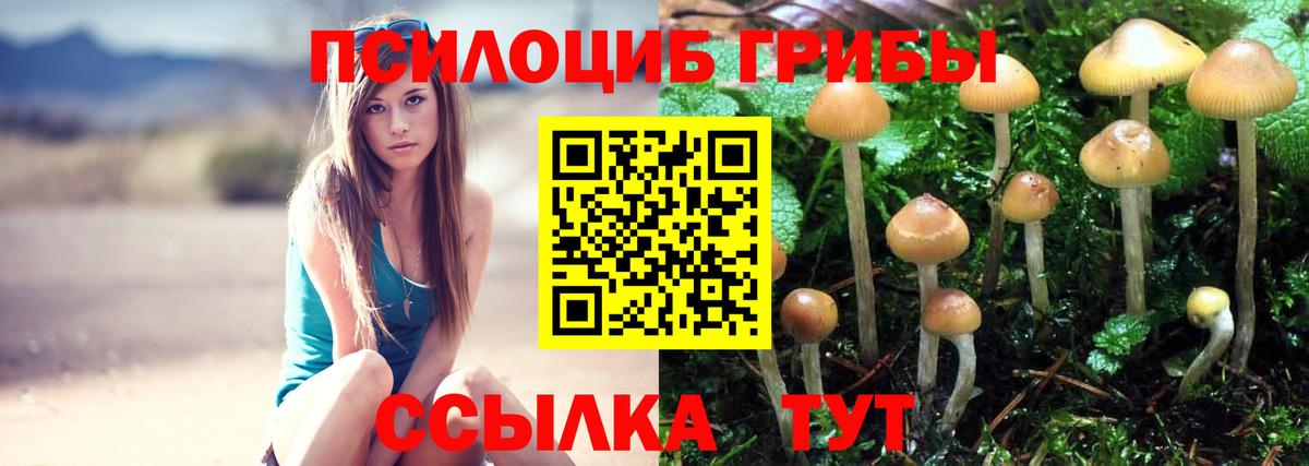 Псилоцибиновые грибы MAGIC MUSHROOMS  Вход с VPN  Галлюциногенные грибы мицелий  Среднеуральск 